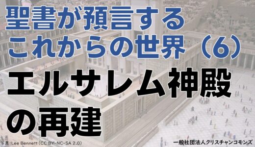 5月3日（土）集会のお知らせ（大阪府高槻市）
